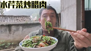 农村小溪边水芹菜真多，大叔采回来炒腊肉，太香了，就是费米饭【农家纪实】