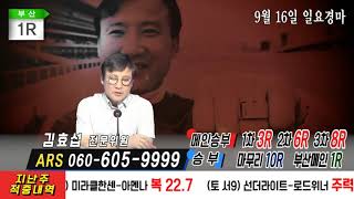 김효섭의 과천황태자 9.16 일요경마 해설방송