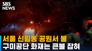 서울 신림동 공원서 불…구미공단 화재는 큰불 잡혀 / SBS