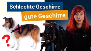 Halsband oder Geschirr? Teil 1 - Das Hunde-ABC