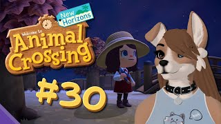 Animal Crossing Diary - Day 30 [Stream from 19/11/24]