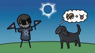 Weird Things Animals Do During Eclipses