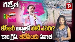 Who WIll Win In Gajwel Constituency in Telangana | Telangana Elections | Telugu Popular TV