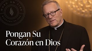 Pongan Su Corazón en Dios — Sermón del Domingo del obispo Robert Barron