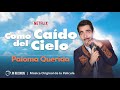 paloma querida 🌤 omar chaparro audio oficial