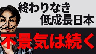 【不景気】終わりなき低成長を日本はなぜ続けるのか【日銀/ドイツ/アメリカ/景気循環/円安/低成長/日銀原田さん/PCR/ひろゆき相談所/】