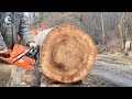 150 Incredibly Fastest Wood Cutter that Works on Another Level ▶2