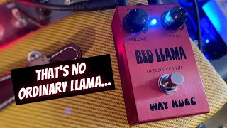 Way Huge Red Llama MkIII