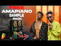 🏮[FREE]🏮Amapiano Sample Pack 2024 | 
