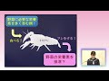 【第43回沖縄青少年科学作品展】沖縄県知事賞『ミステリークレイフィッシュでアクアポニックス～生体に与える餌で野菜の栽培水を作り、グリーンリーフを大きく育てる研究～』