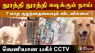 துரத்தி துரத்தி கடித்த நாய்..7 மாத குழந்தையும் விடவில்லை! வெளியான பகீர் சிசிடிவி| VELACHERY DOG Bite