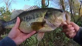 Bass Fishing in Carnegie Lake NJ. 15+ Pounds Limit. 4 May 2020