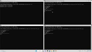 Chatting Program (TCP/IP Socket Programming using C)