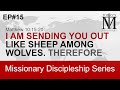 Matthew 10:15-20 Reflection - I am sending you out like sheep among wolves EP#15