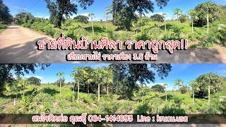 ขายที่ดินบ้านศิลา ราคาถูกสุด!!เกือบสามไร่ ขายเพียง 3.5 ล้าน