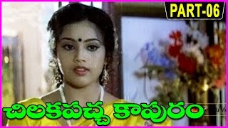 Chilakapacha Kapuram Telugu Full Movie Part-6/12 - Jagapathi Babu, Soundarya, Meena