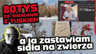 80 tys. za śniadanie z tuskiem😂 na wośp, a ja zastawiam sidła na zwierza w lesie