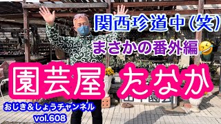 【多肉植物】vol.608 四十郎さんと行く‼️関西珍道中(笑)番外編🚗³₃ #多肉植物 #多肉狩り #ガーデニング