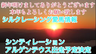 シルクレーシング一口馬主のリアル2025No1【アルゲンテウス出走予定決定】