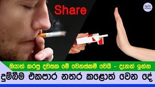 දුම්බීම එකපාර නැවත්තුවොත් ඔයාට වෙන දේ මෙන්න - How to stop Smoking Cigarettes Naturally