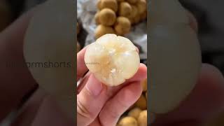 Langsat Fruit it,s Delicious Fruit#shorts #fruit #shortvideo