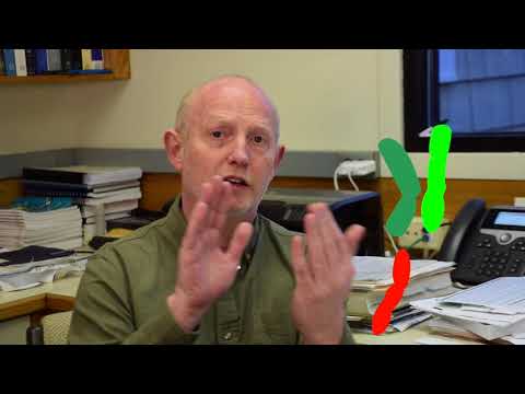 How many chromosomes do plants cells have?