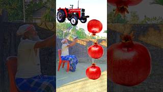 Rounding pomegranates to Alto, Rollar, Jcb \u0026 Tractor - Vehicles names magic video