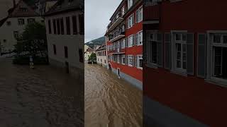 Heidelberg Hochwasser (alte Brücke) 02.06.2024 #heidelberg #hochwasser #unwetter