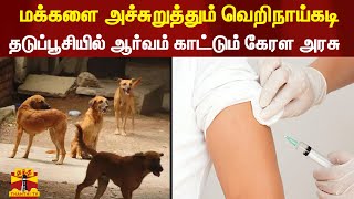 மக்களை அச்சுறுத்தும் வெறிநாய்கடி - தடுப்பூசியில் ஆர்வம் காட்டும் கேரள அரசு