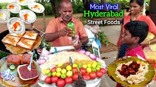 Must Try Top Street Foods in Hyderabad | indian street food #biryani #haleem #bennedosa #eggdosa