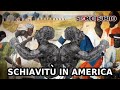 La STORIA della SCHIAVITU' in AMERICA