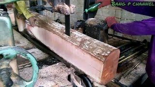 Saw Mill wood cutting proses detail penggergajian bahan furniture mebel kayu mahoni. mahogany sawing