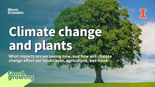 Climate change and plants with Trent Ford | #GoodGrowing