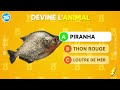 devine les animaux de la mer avec leur ombre 🐳🦈🐠 quiz animaux pour enfants