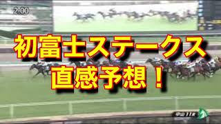 初富士ステークス 直感予想！