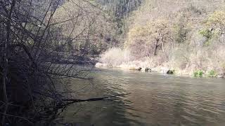 HAPPY 421 DAY: KLAMATH RIVER, ROPE SWINGS