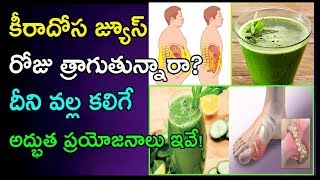 కీరాదోస జ్యూస్ రోజు... | Health Benefits of Keera Dosakaya | Cucumber Juice | Arogya Mantra