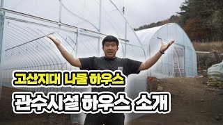 고랭지 나물 비닐하우스 / 관수시설과 단동 하우스 2채 단가 /사장님 솔직 인터뷰