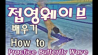 접영 웨이브 배우기 / How to practice Butterfly Wave / 수영강습 / [ 뉴욕 수영코치 New York Swim Coach ]