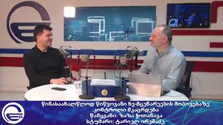 წინასაახალწლოდ წიწვოვანი ხე-მცენარეების მოპოვებაზე კონტროლი მკაცრდება/“რადიო იმედი