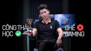 Lý do mình chọn GHẾ CÔNG THÁI HỌC thay vì GAMING? Epione ErgoChair Pro