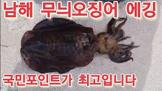 남해 무늬오징어 #에깅 역시 (국민포인트)는 무늬오징어가있네요...