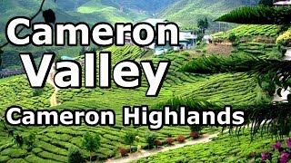 Cameron Valley, Cameron Highlands, Malaysia