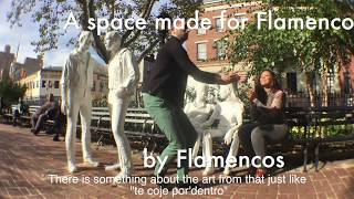 The Center for Flamenco Arts