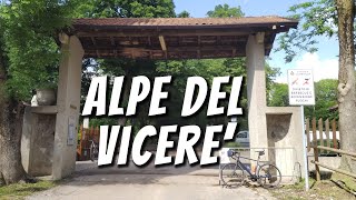 In bici sulla salita dell'ALPE DEL VICERE' | Ma che caldo!!!