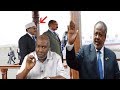 XOGTA Geeska Afrika: dhama siyaasadeed iyo hirden awoodeed? Sheikh abdirahman bashiir