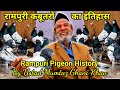 रामपुरी कबूतर का इतिहास | Rampuri Pigeon History | by Ustad Mumtaz Ghani Khan | Rampuri Kabootar