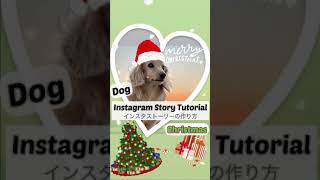 Christmas Instagram Story Idea for dog lover♡犬インスタスストーリー作り方/ミニチュアダックス ミッキー/加工方法 tutorial #shorts