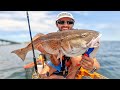 BEST New Kayak Fishing Charter in Panama City, Florida | 3:16 Kayak Adventures