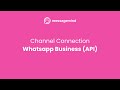 How to Connect Whatsapp Business (API) to MessageMind